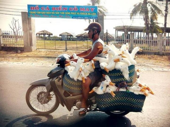 1638282442 726 20 registros de veiculos ao redor do mundo que estao