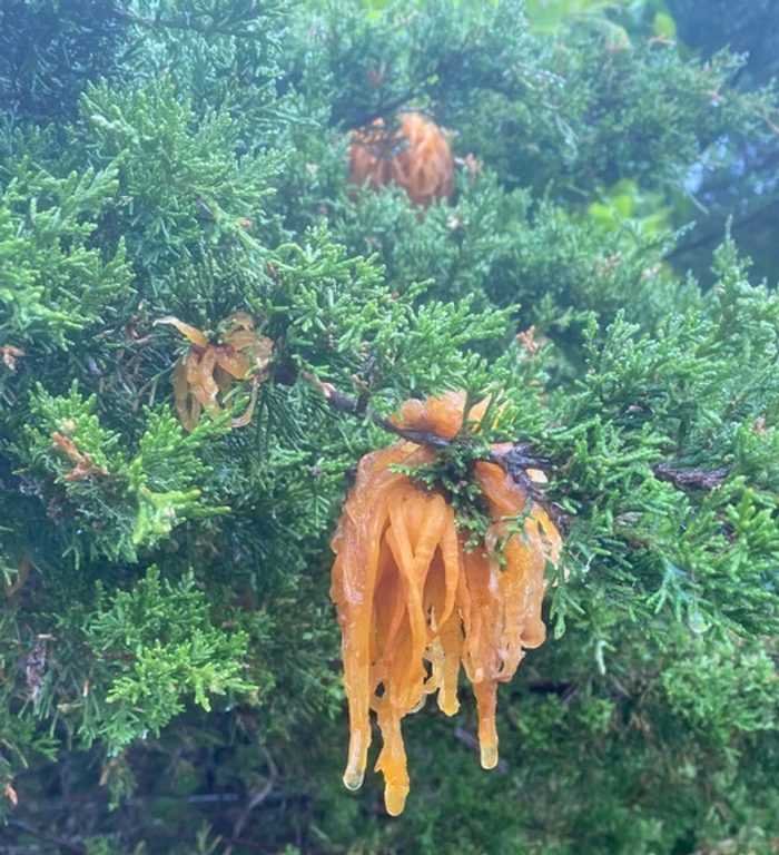 1626909806 835 Parte 13 16 Vezes em que as pessoas nao