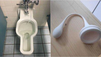 16 vezes as pessoas não tinham ideia do que estavam vendo e a internet ajudou um pouco