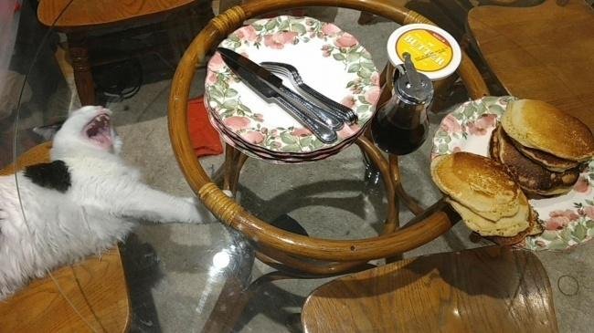 1638410274 529 15 Fotos que eram pra ser totalmente normais mas que