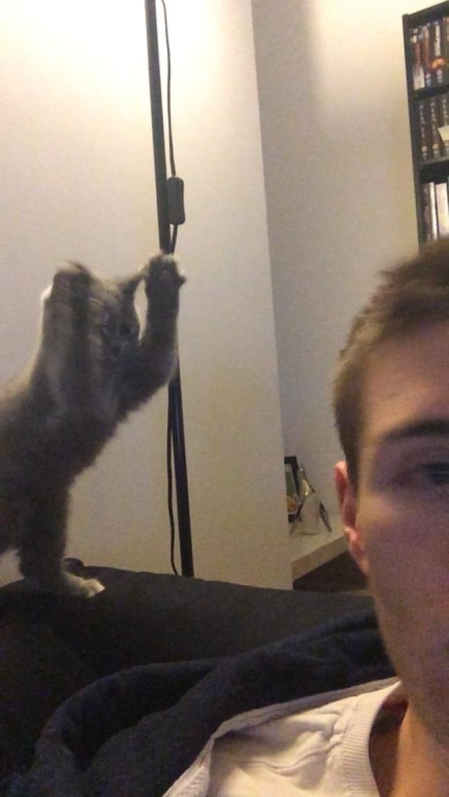 1638410279 496 15 Fotos que eram pra ser totalmente normais mas que