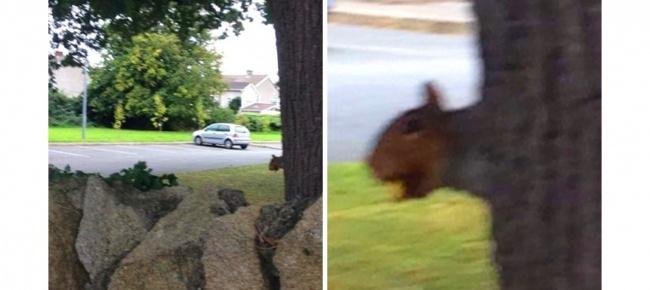 1638410283 802 15 Fotos que eram pra ser totalmente normais mas que