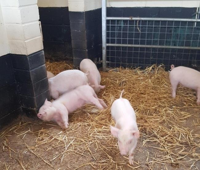 1638410286 308 15 Fotos que eram pra ser totalmente normais mas que