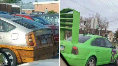 15 vezes que os carros pagaram o preço pelo gosto excêntrico de seus donos