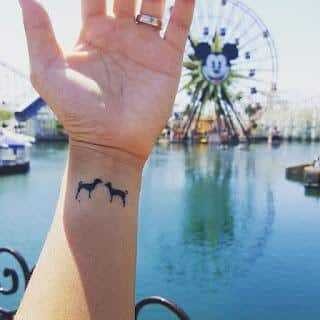 1597772027 92 Tatuagens de Cachorro 50 Fotos Inspiradoras para fazer hoje