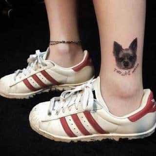 1597772029 237 Tatuagens de Cachorro 50 Fotos Inspiradoras para fazer hoje