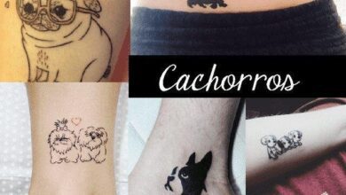 Tatuagens de Cachorro 50 Fotos Inspiradoras para fazer hoje 2