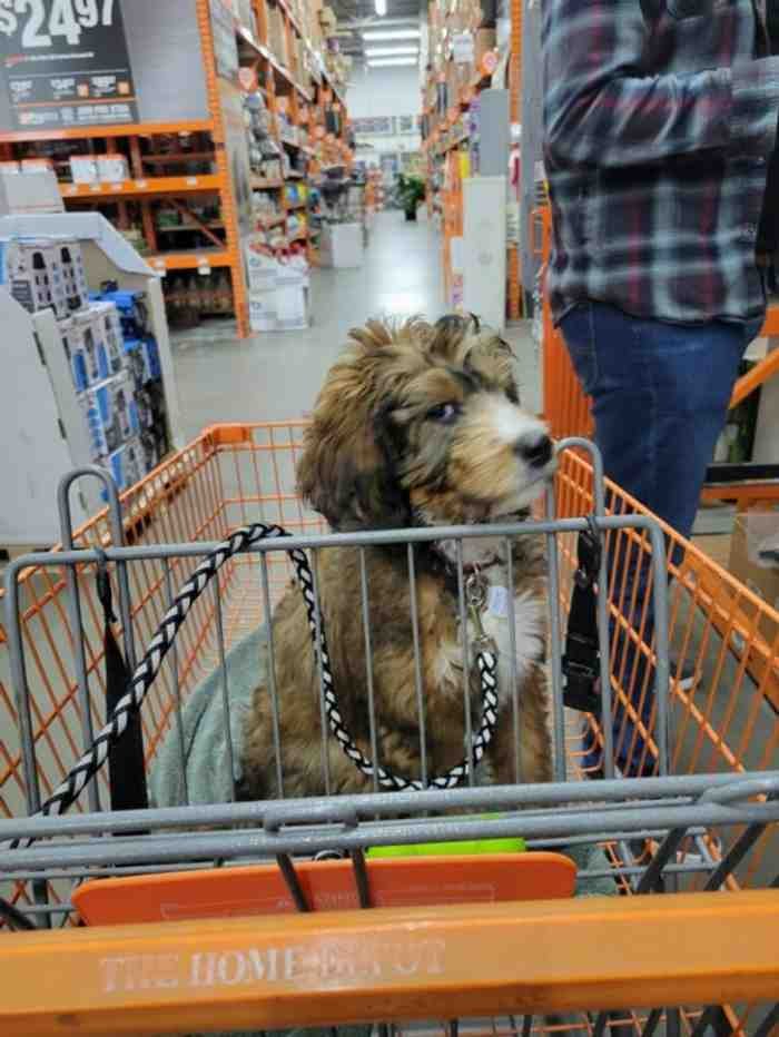 1751488883 966 22 fotos que provam que alguns animais se comportam de 1651785812 729 22 fotos provando que alguns animais se comportam de formas