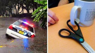 26 fotos que simplesmente não têm nenhuma explicação lógica