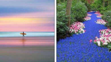 22 fotos de coisas tão satisfatórias que vão fazer você acreditar que a perfeição existe