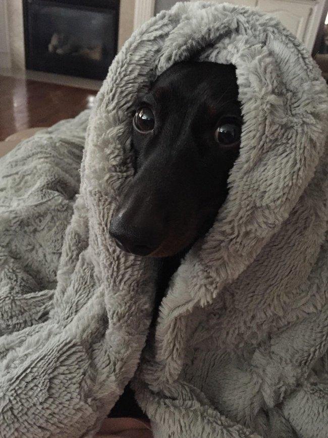 1638798866 967 16 Coisas que so quem nao curte muito o clima