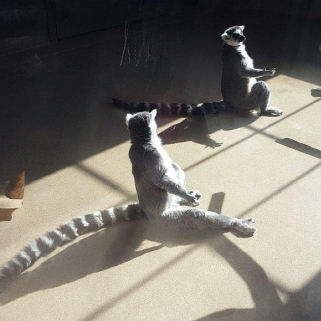 1638798873 579 16 Coisas que so quem nao curte muito o clima