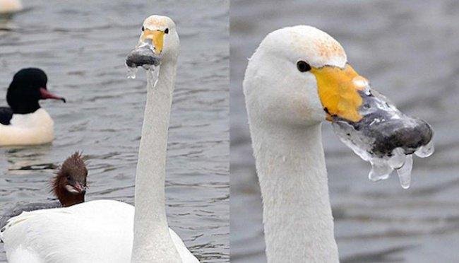 1638798874 61 16 Coisas que so quem nao curte muito o clima