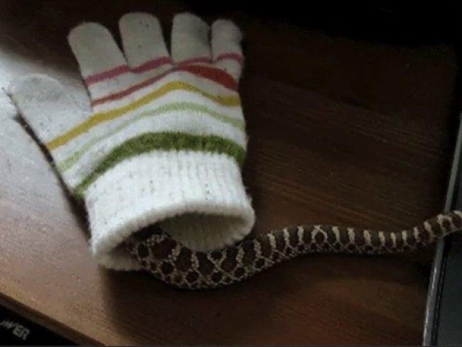 1638798878 86 16 Coisas que so quem nao curte muito o clima