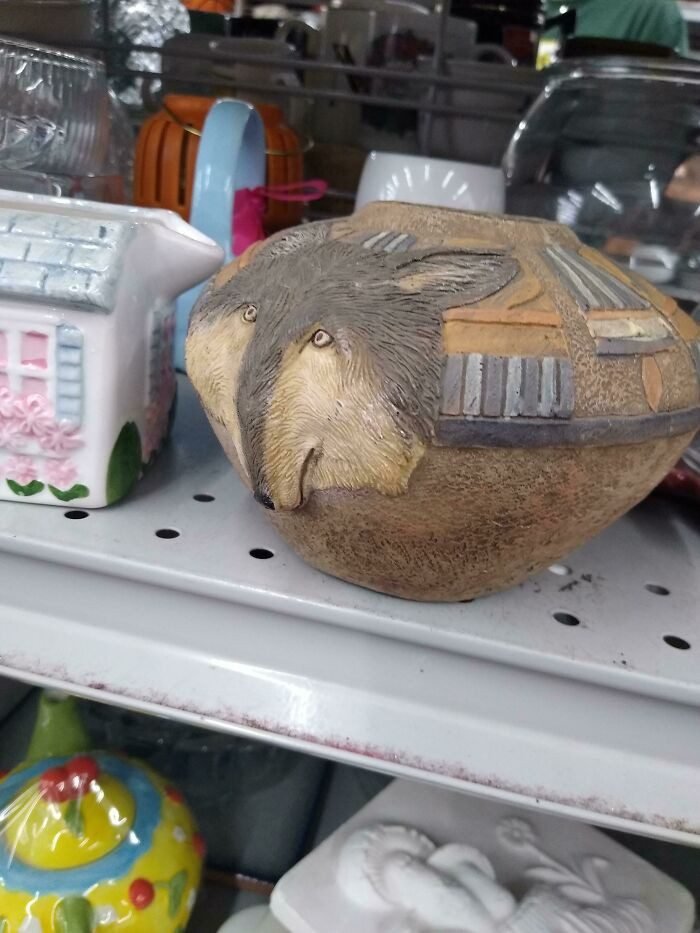 1649816601 24 21 Absurdos que alguem achou que fossem boas ideias