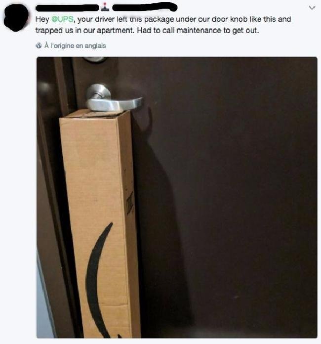 1637072633 555 16 Vezes em que pessoas fizeram coisas nao muito inteligentes