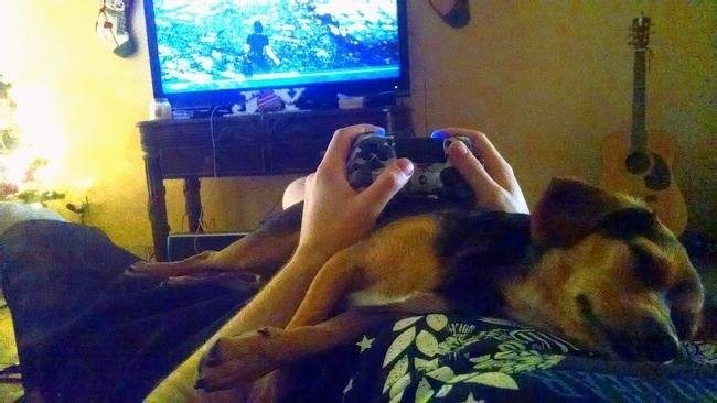 1637723483 254 17 Pessoas que ja sao especialistas em serem preguicosas