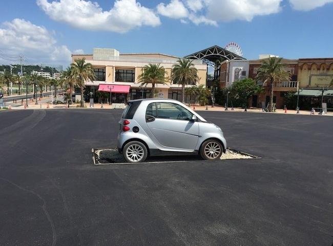 1637723485 937 17 Pessoas que ja sao especialistas em serem preguicosas