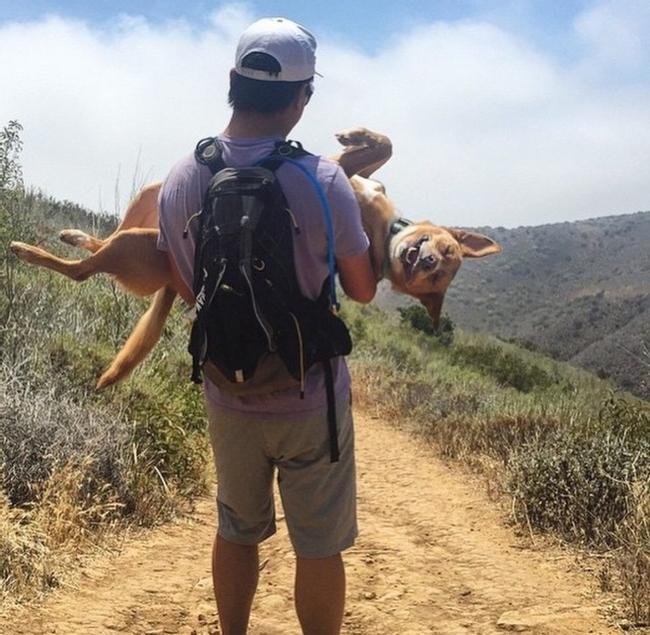 1637723487 860 17 Pessoas que ja sao especialistas em serem preguicosas