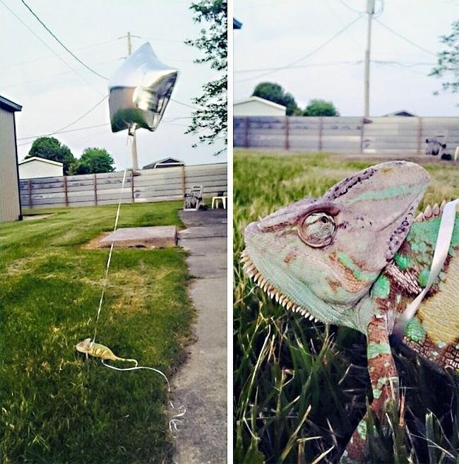 1637723488 391 17 Pessoas que ja sao especialistas em serem preguicosas