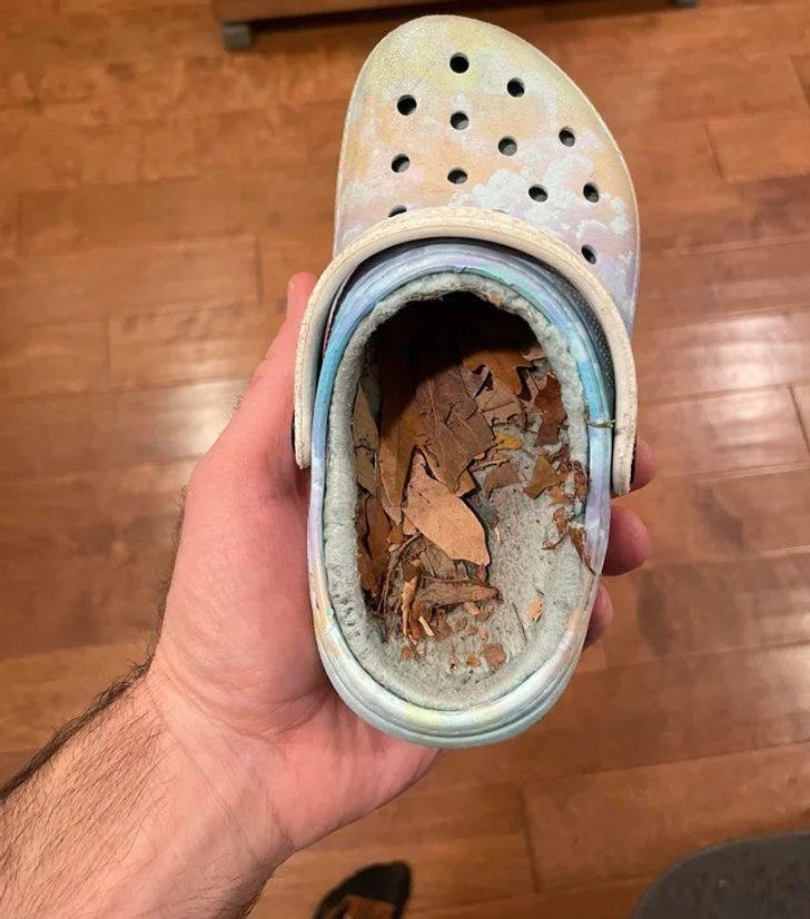 1640053854 472 20 Criancas engracadas que vivem de acordo com suas proprias