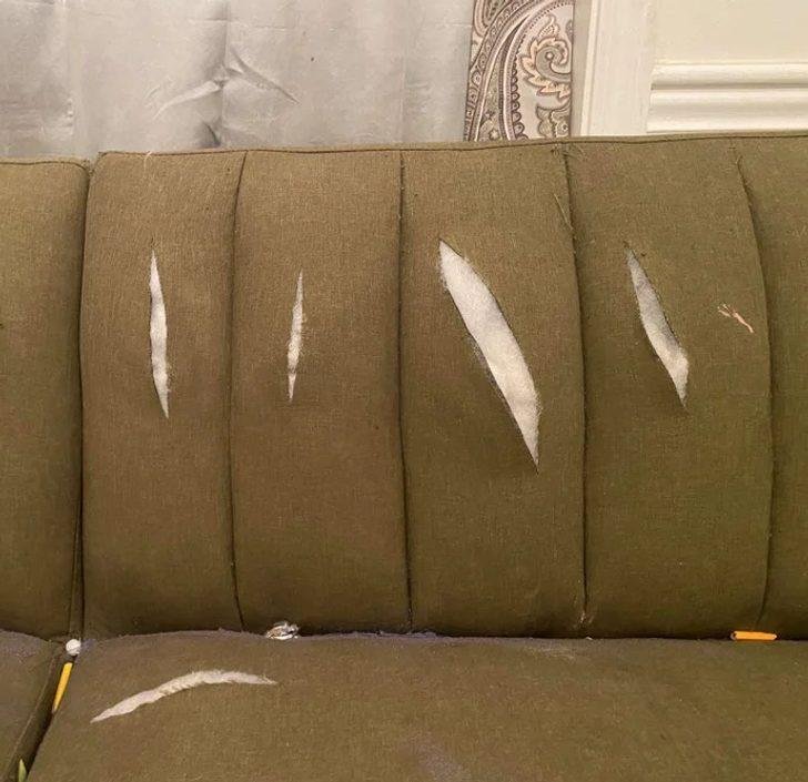 1640053867 115 20 Criancas engracadas que vivem de acordo com suas proprias