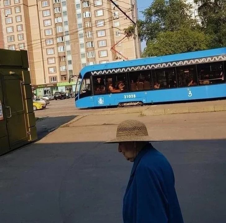 1751498151 111 17 provas de que a camuflagem esta presente em toda 1647300196 807 17 provas de que a camuflagem esta presente em todos