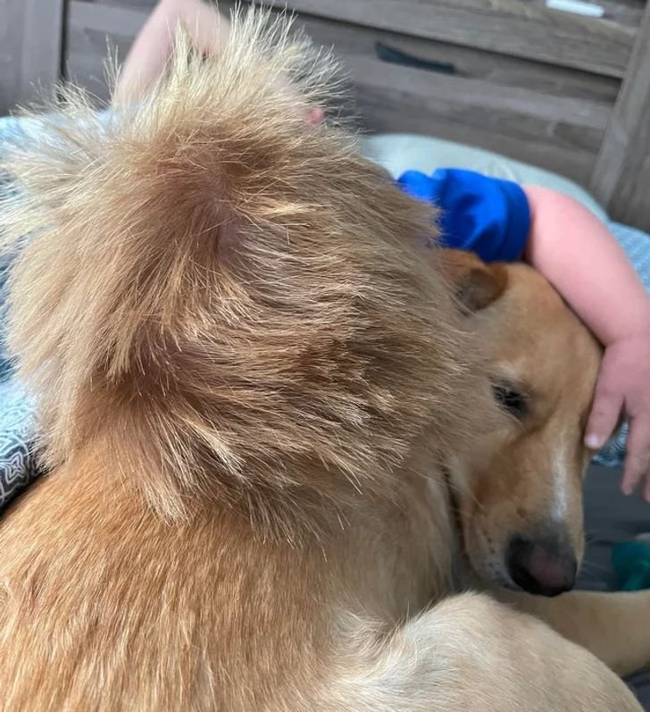 1647300198 172 17 provas de que a camuflagem esta presente em todos