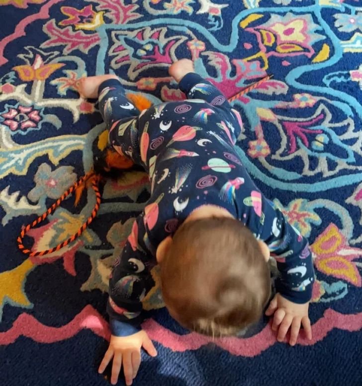 1751498156 975 17 provas de que a camuflagem esta presente em toda 1647300200 730 17 provas de que a camuflagem esta presente em todos