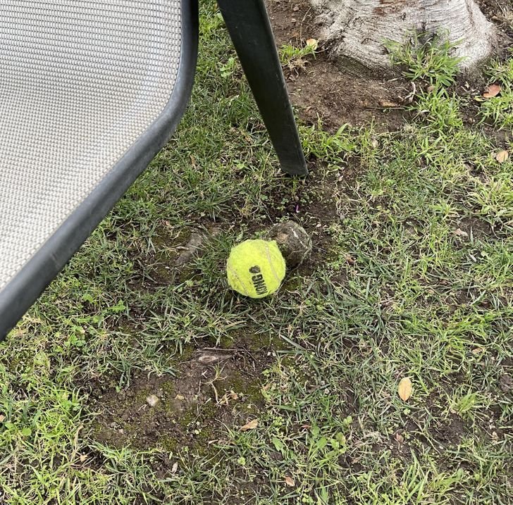 1647300210 223 17 provas de que a camuflagem esta presente em todos