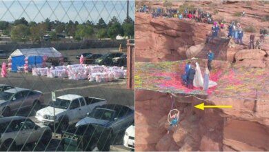 21 cerimônias de casamento que fugiram do comum