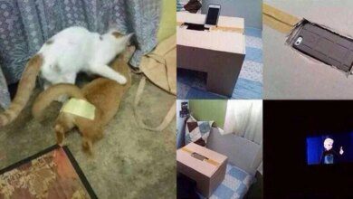 1751500102 14 pessoas que produziram gambiarras geniais 14 Pessoas que produziram gambiarras geniais