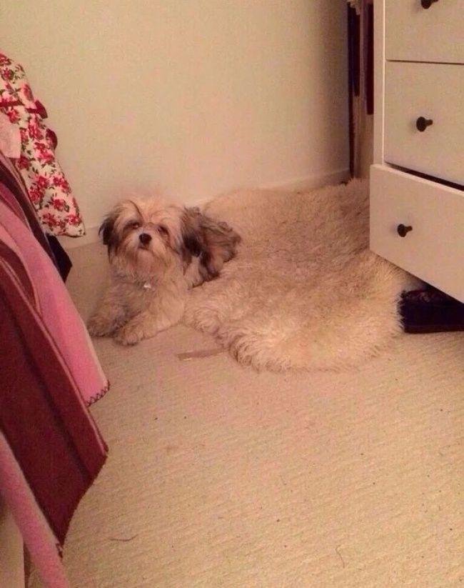 1751500219 397 16 imagens que vao pregar pecas no seu cerebro 1640885386 368 16 Imagens que vao pregar uma peca em seu cerebro