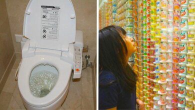 10 Coisas curiosas do Japão que não seriam uma má ideia ter por aqui