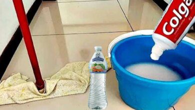 1751500347 pasta de dente para passar pano no chao piso limpo Pasta de dente para passar pano no chão, piso limpo e brilhando