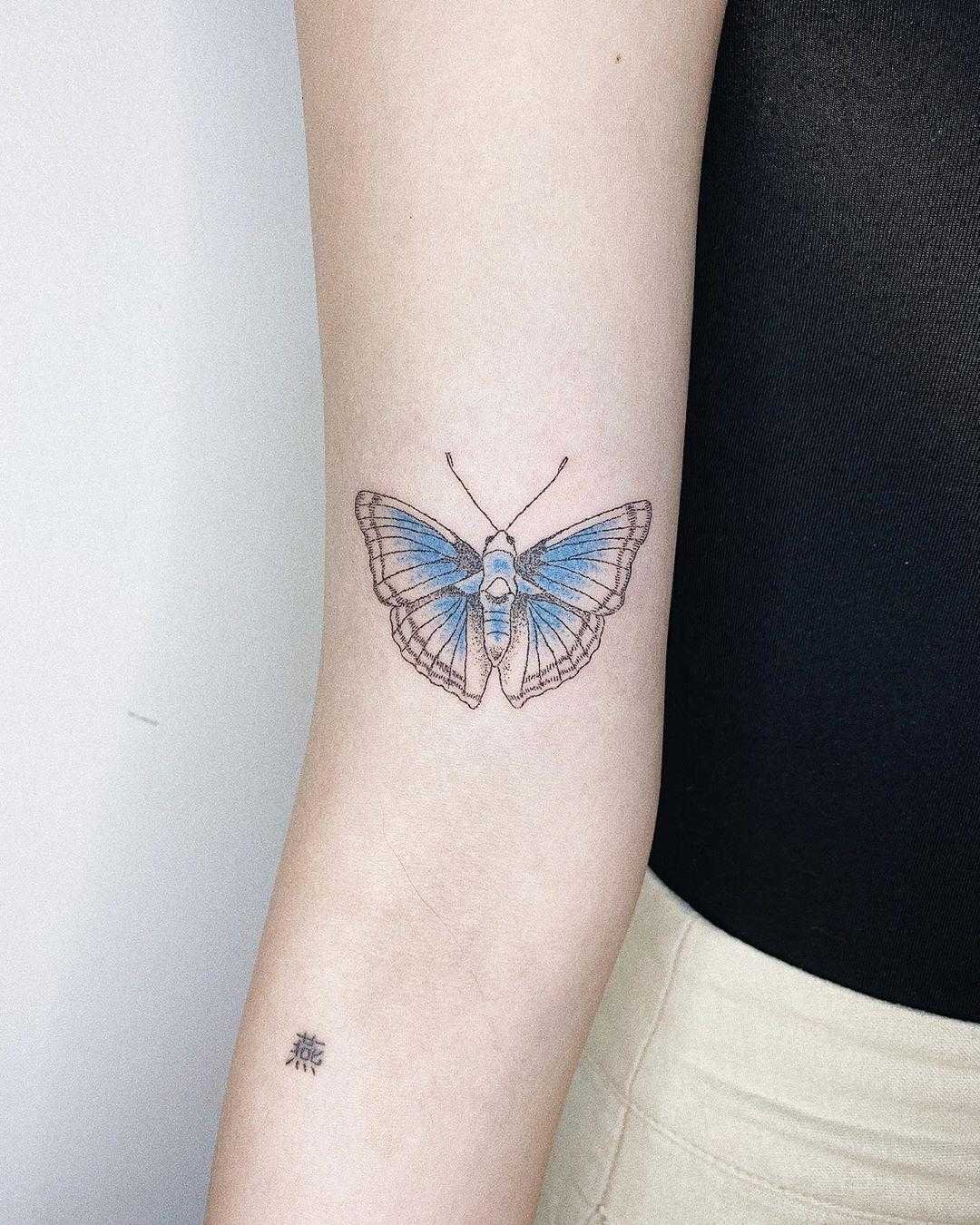 1594227064 259 70 opcoes de Tatuagem de Borboleta ideais para voce