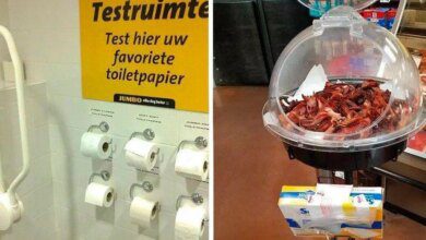 16 Lojas que já estão vivendo no futuro