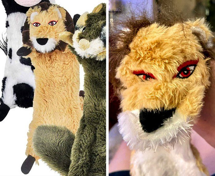 1649793762 615 18 Vezes em que as compras online nao deram nada