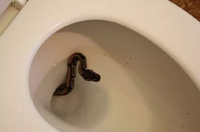 1652573987 566 16 Vezes em que ir ao banheiro pode parecer uma