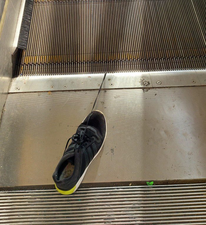 1646036587 333 21 Pessoas cujos dias tomaram um rumo inesperado e bem