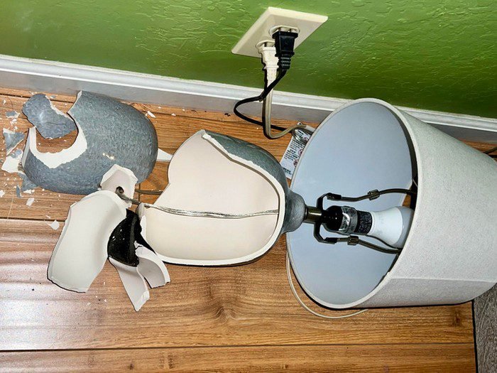 1646036589 433 21 Pessoas cujos dias tomaram um rumo inesperado e bem