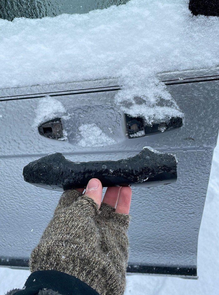 1646036598 577 21 Pessoas cujos dias tomaram um rumo inesperado e bem