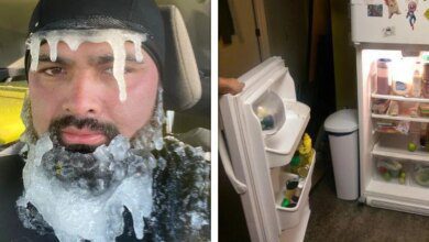 21 Pessoas cujos dias tomaram um rumo inesperado (e bem azarado)