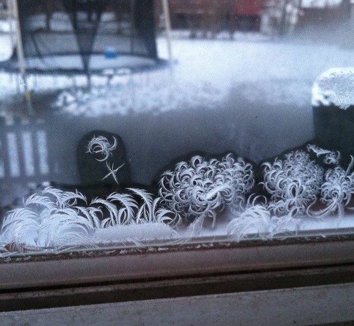 1751502478 459 18 imagens que representam muito bem a palavra perfeicao de 1653340875 456 18 Imagens que representam muito bem a palavra perfeicao de