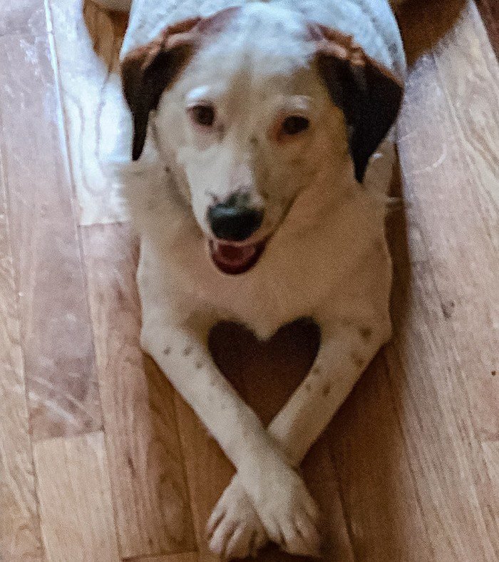 1751502480 883 18 imagens que representam muito bem a palavra perfeicao de 1653340877 620 18 Imagens que representam muito bem a palavra perfeicao de