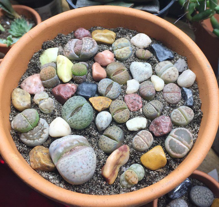 1751502482 130 18 imagens que representam muito bem a palavra perfeicao de 1653340877 259 18 Imagens que representam muito bem a palavra perfeicao de