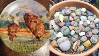 1751502487 18 imagens que representam muito bem a palavra perfeicao de 18 imagens que representam muito bem a palavra perfeição de diferentes maneiras