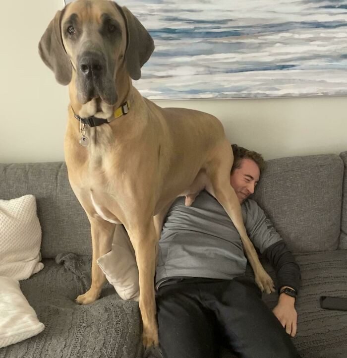 1751502593 319 22 animais que nao tem nocao de espaco pessoal 1652730390 166 22 Animais que nao tem a minima nocao de espaco