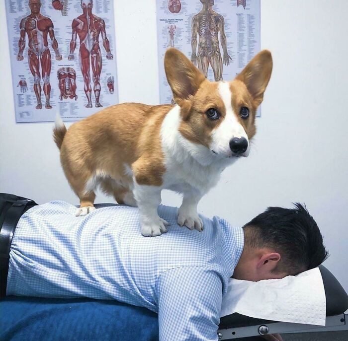 1751502594 80 22 animais que nao tem nocao de espaco pessoal 1652730391 775 22 Animais que nao tem a minima nocao de espaco