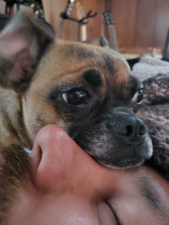 1751502597 469 22 animais que nao tem nocao de espaco pessoal 1652730394 389 22 Animais que nao tem a minima nocao de espaco